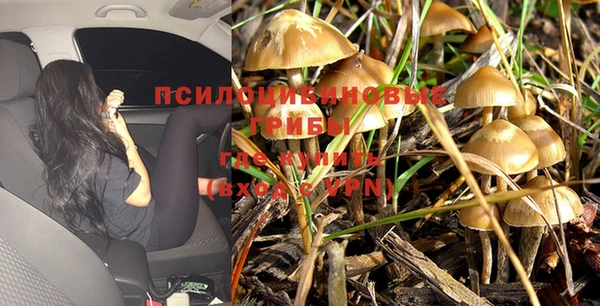 скорость Алзамай