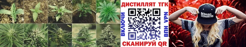 ТГК жижа  хочу   Михайловск 