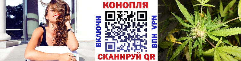 Конопля тримм площадка Telegram Михайловск